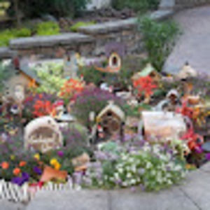 Meet your Posher, Tabitha